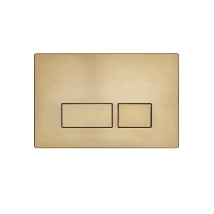 Product cut out image of Roper Rhodes Plaza Brushed Brass Dual Flush Push Plate - TR9036